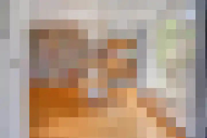 Ruusbroecgaarde 77 Oss thumbnail 10