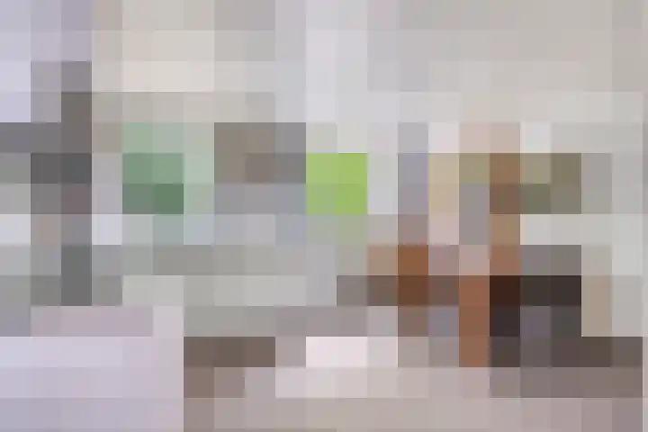 Ruusbroecgaarde 77 Oss thumbnail 12