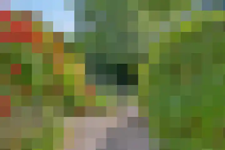 Ruusbroecgaarde 77 Oss thumbnail 15