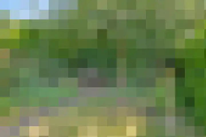 Ruusbroecgaarde 77 Oss thumbnail 16