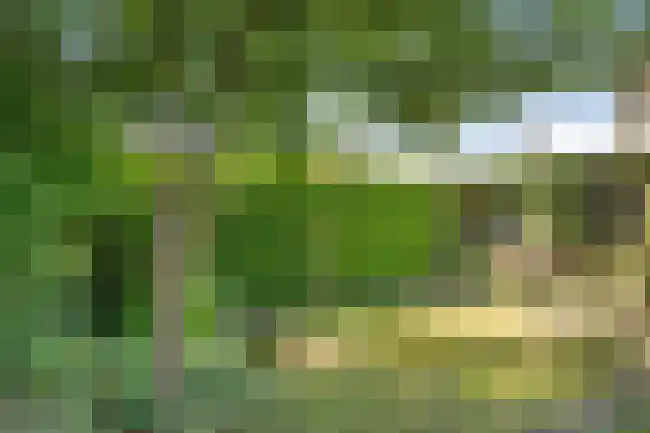 Ruusbroecgaarde 77 Oss thumbnail 17