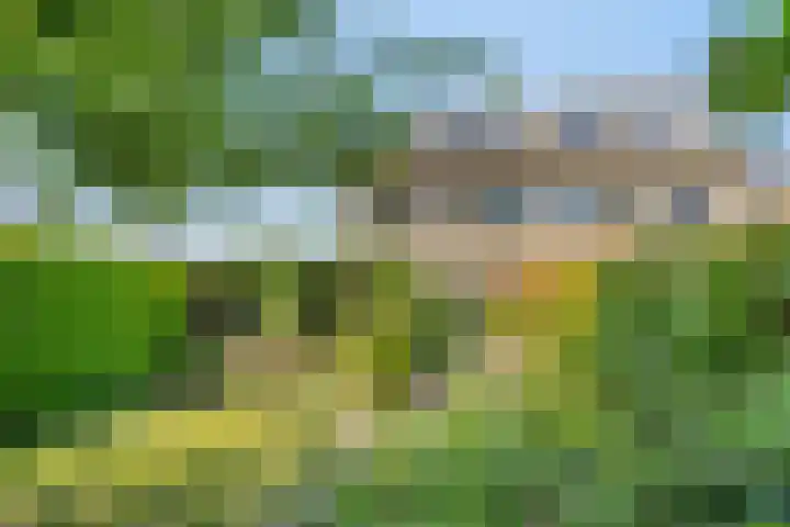 Ruusbroecgaarde 77 Oss thumbnail 18