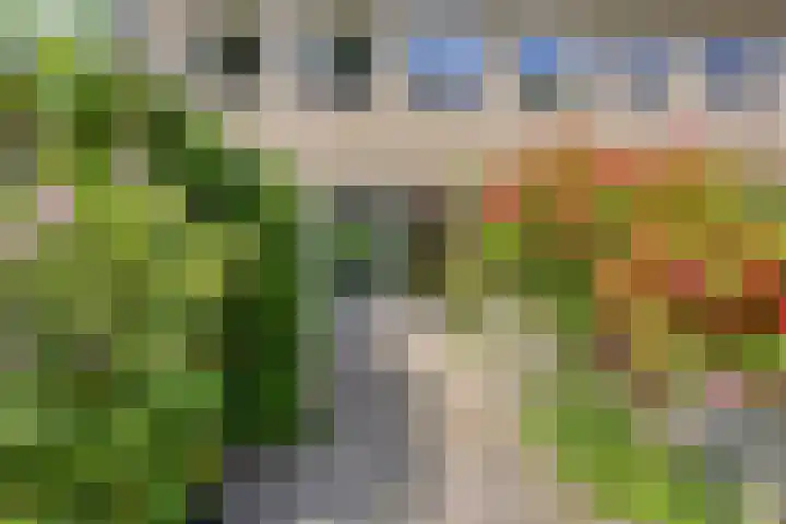 Ruusbroecgaarde 77 Oss thumbnail 19