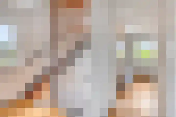 Ruusbroecgaarde 77 Oss thumbnail 20