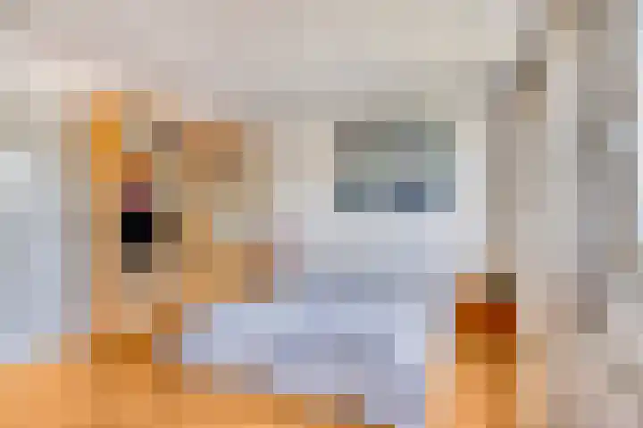 Ruusbroecgaarde 77 Oss thumbnail 21