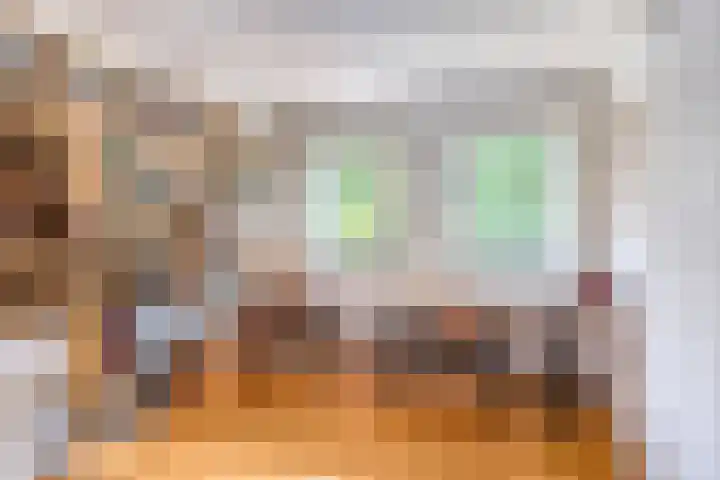 Ruusbroecgaarde 77 Oss thumbnail 27