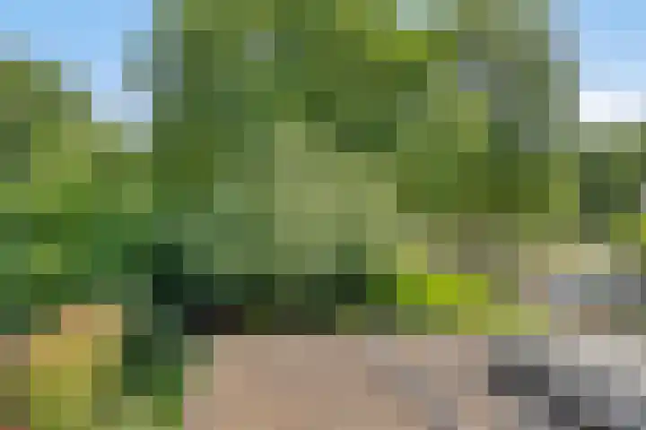 Ruusbroecgaarde 77 Oss thumbnail 28