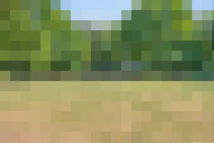 Ruusbroecgaarde 77 Oss thumbnail 35