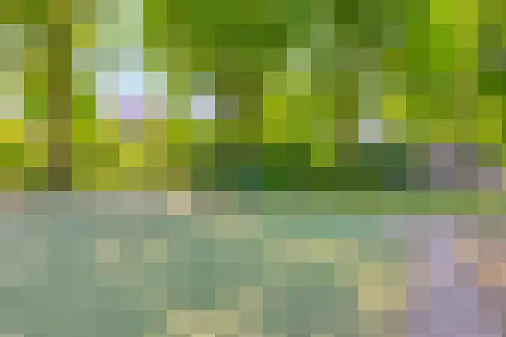 Ruusbroecgaarde 77 Oss thumbnail 36