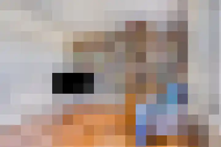 Ruusbroecgaarde 77 Oss thumbnail 8