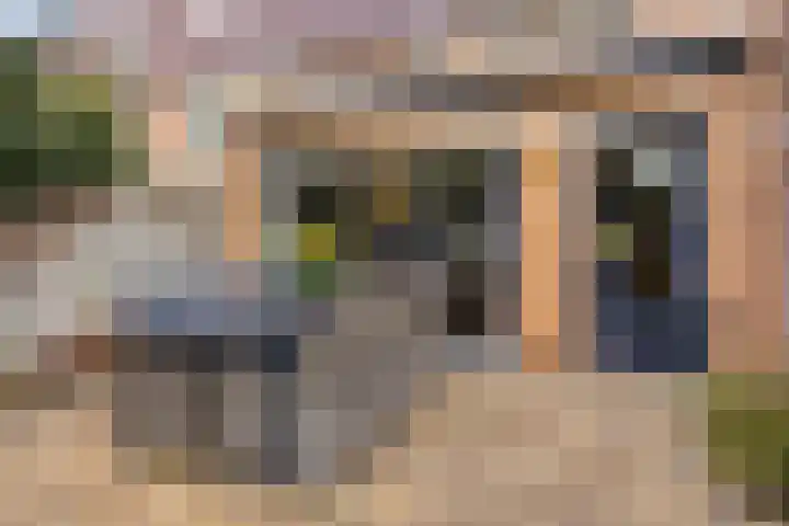 Ruwenbos 82 Enschede thumbnail 32