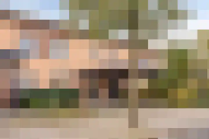 Ruwenbos 82 Enschede thumbnail 5