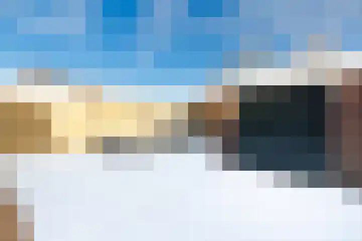 Ruyllaan 36 Grave thumbnail 14