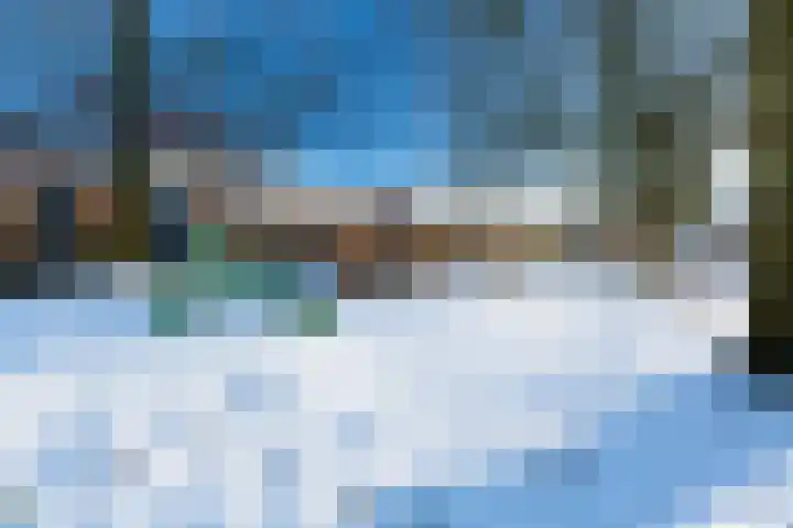 Ruyllaan 36 Grave thumbnail 32