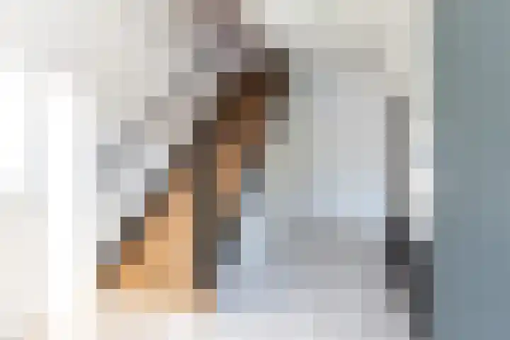 Ruyllaan 36 Grave thumbnail 6