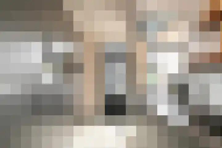 Ruymheuvel 14 Moergestel thumbnail 13