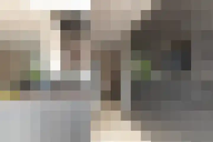 Ruymheuvel 14 Moergestel thumbnail 14