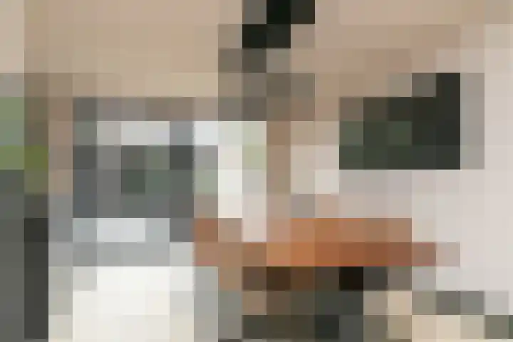 Ruymheuvel 14 Moergestel thumbnail 8
