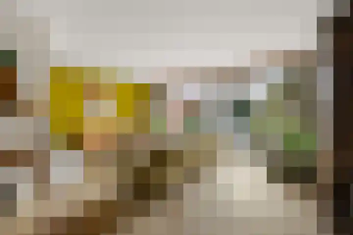 Ruyn acker 77 Heemskerk thumbnail 10