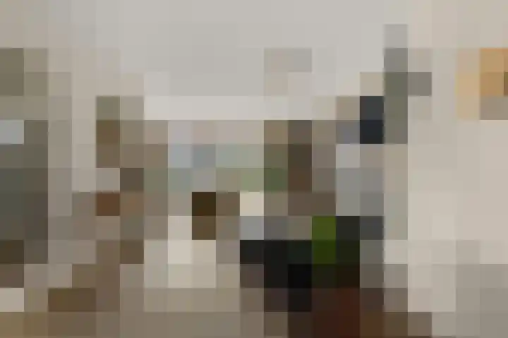 Ruyn acker 77 Heemskerk thumbnail 12
