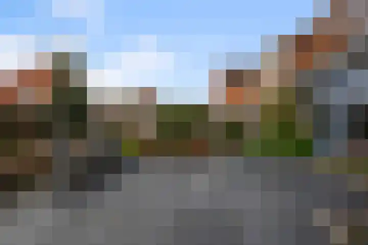 Ruyn acker 77 Heemskerk thumbnail 20