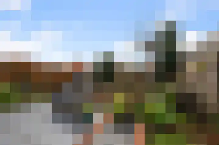 Ruyn acker 77 Heemskerk thumbnail 22