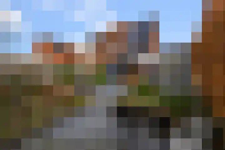 Ruyn acker 77 Heemskerk thumbnail 23