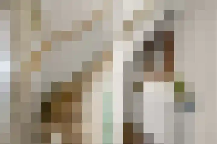 Ruyn acker 77 Heemskerk thumbnail 24