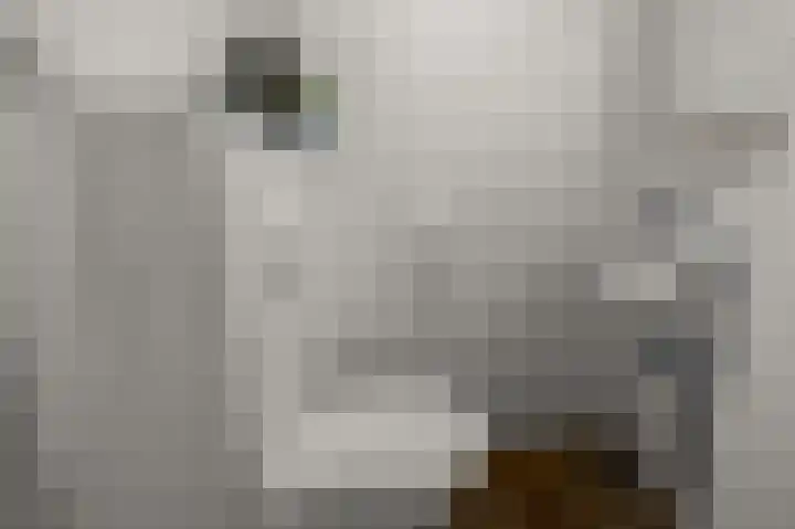 Ruyn acker 77 Heemskerk thumbnail 27