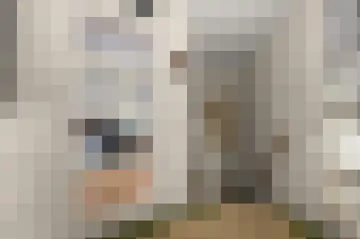 Ruyn acker 77 Heemskerk thumbnail 29