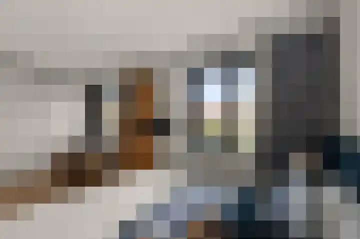 Ruyn acker 77 Heemskerk thumbnail 30