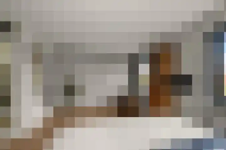 Ruyn acker 77 Heemskerk thumbnail 31