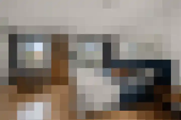 Ruyn acker 77 Heemskerk thumbnail 37