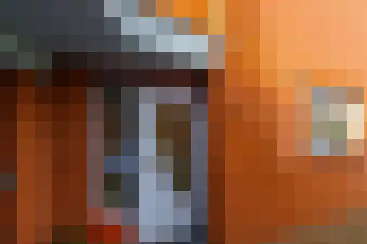 Ruyn acker 77 Heemskerk thumbnail 4