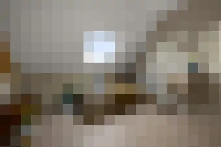 Ruyn acker 77 Heemskerk thumbnail 40