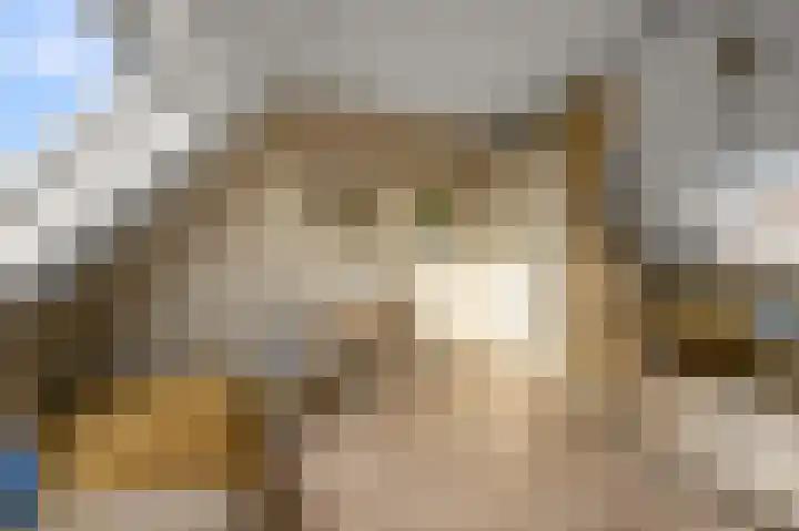 Ruyn acker 77 Heemskerk thumbnail 41