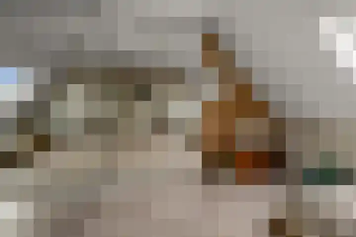 Ruyn acker 77 Heemskerk thumbnail 42