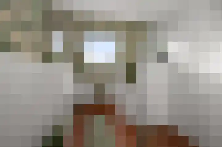 Ruyn acker 77 Heemskerk thumbnail 43