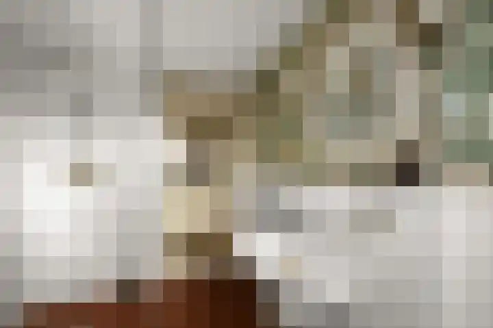 Ruyn acker 77 Heemskerk thumbnail 44