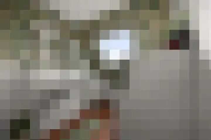 Ruyn acker 77 Heemskerk thumbnail 45