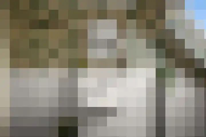 Ruyn acker 77 Heemskerk thumbnail 46