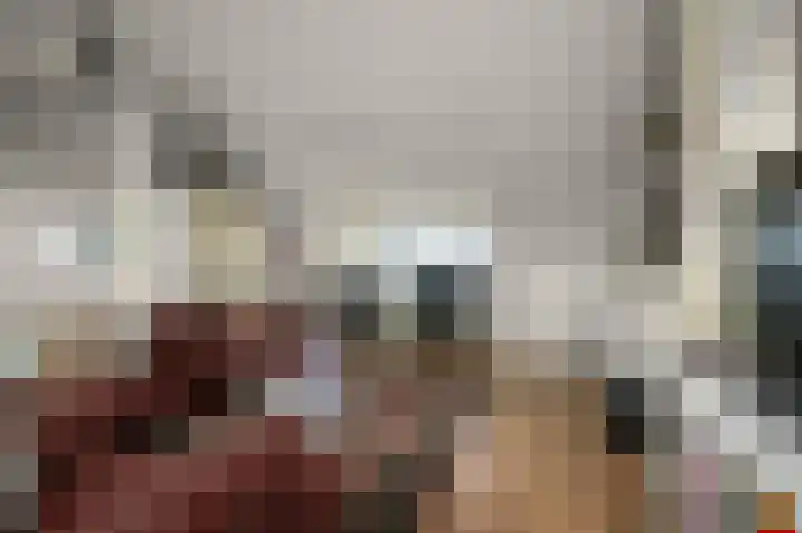 Ruyn acker 77 Heemskerk thumbnail 48