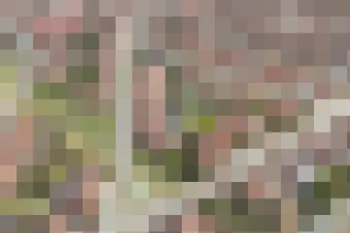 Ruyn acker 77 Heemskerk thumbnail 51