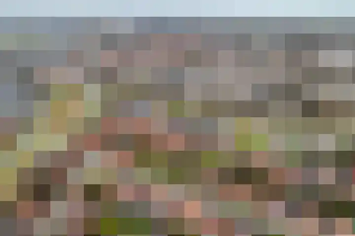 Ruyn acker 77 Heemskerk thumbnail 52