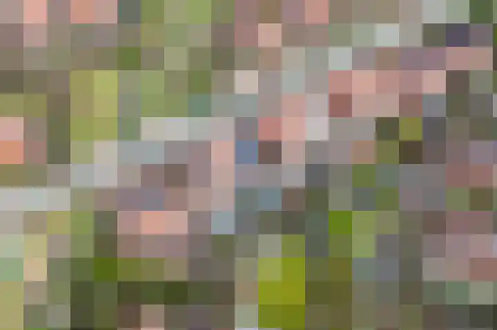 Ruyn acker 77 Heemskerk thumbnail 53