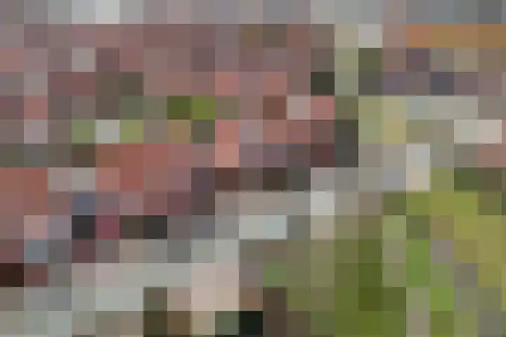 Ruyn acker 77 Heemskerk thumbnail 54