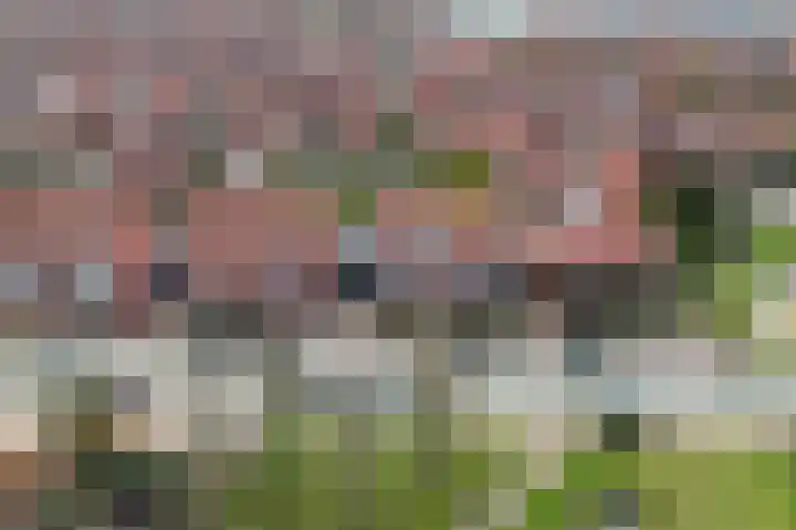 Ruyn acker 77 Heemskerk thumbnail 55