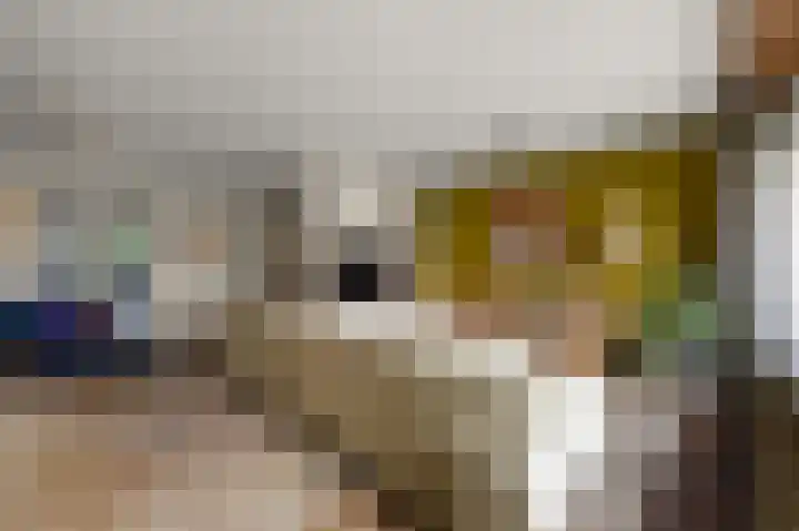 Ruyn acker 77 Heemskerk thumbnail 7