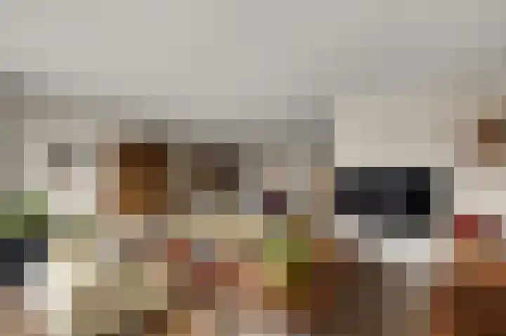 Ruyn acker 77 Heemskerk thumbnail 8