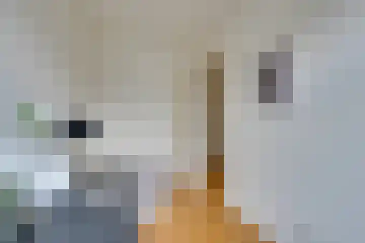 Ruyschstraat 80 2 Amsterdam thumbnail 33